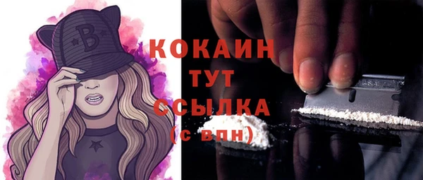 прущие грибы Карпинск