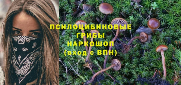 наркотики Киреевск