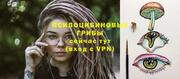 тгк Кинешма