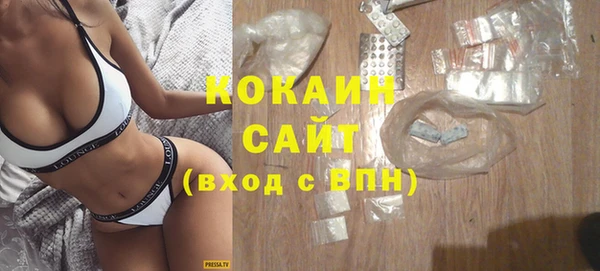 PSILOCYBIN Карталы